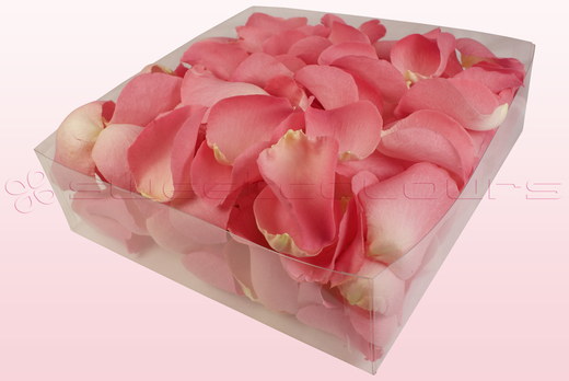 Emballage 2 litres de pétales de roses lyophilisés couleur rose bonbon