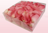 2 Liter Verpackung mit gefriergetrockneten Rosenblättern in der Farbe Süßes Rosa