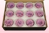 12 konservierte Rosenköpfe, Lavendel Pastell, Größe M