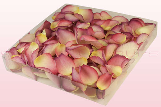 1 Liter Verpackung mit gefriergetrockneten Rosenblättern in der Farbe Glühend Pink
