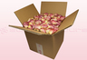 Boîte de 8 litres de pétales de roses lyophilisés couleur rose flamboyant