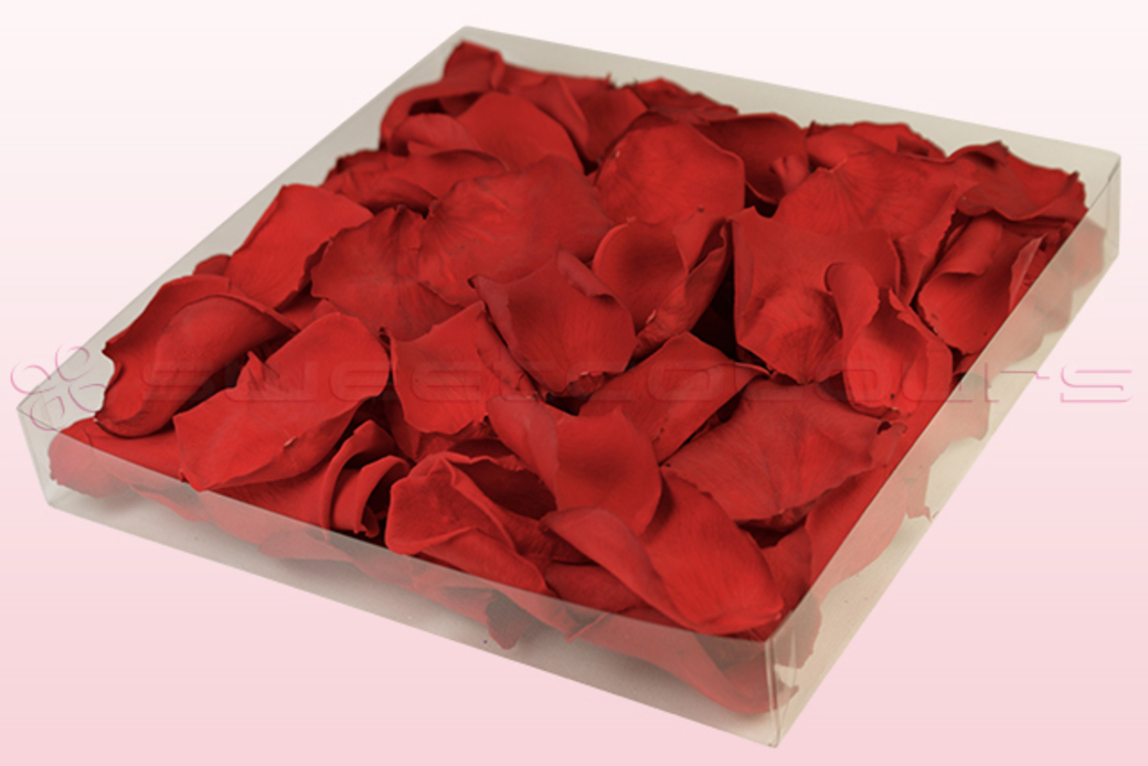 Preserved rose petals Red