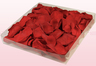 Confezione da 1 litro con petali di rosa stabilizzata di colore rosso. 