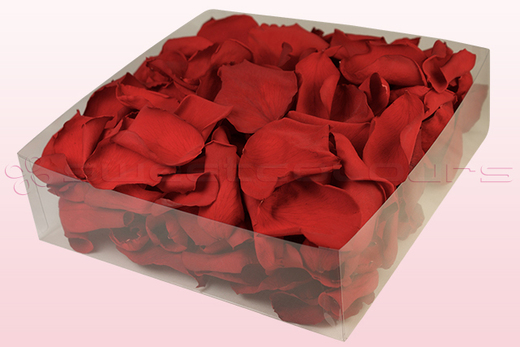 Confezione da 2 litri con petali di rosa stabilizzata di colore rosso. 
