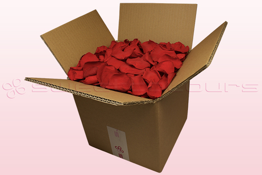 Caja de 8 litros con pétalos de rosa preservados de color rojo.  
