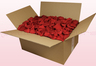 Caja de 24 litros con pétalos de rosa preservados de color rojo. 