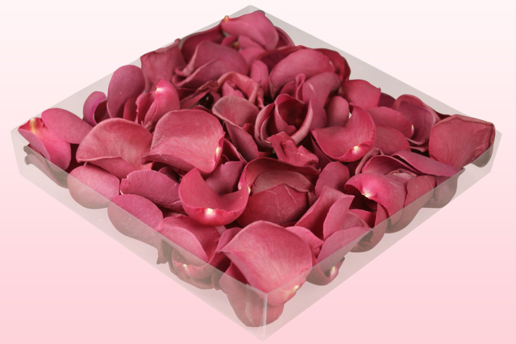 Freeze dried rose petals Mulberry