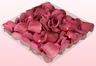 1 Liter Verpackung mit gefriergetrockneten Rosenblättern in der Farbe Magenta