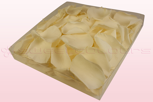 1 Litre Box Of Preserved Champagne Rose Petals