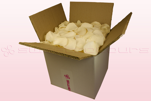 8 Litre box With Preserved Champagne Rose Petals