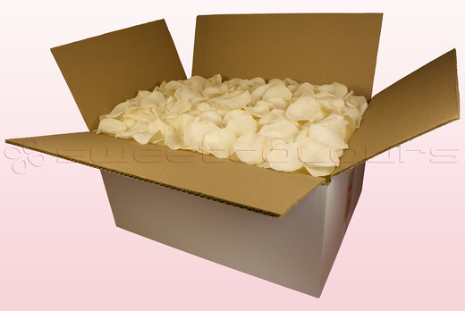 24 Litre box With Preserved Champagne Rose Petals
