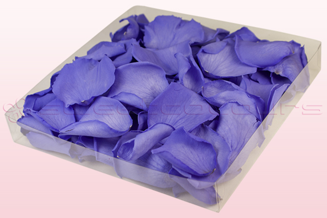 Preserved rose petals Lilac