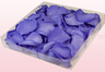 Emballage 1 litre pétales de roses conservés couleur lilas