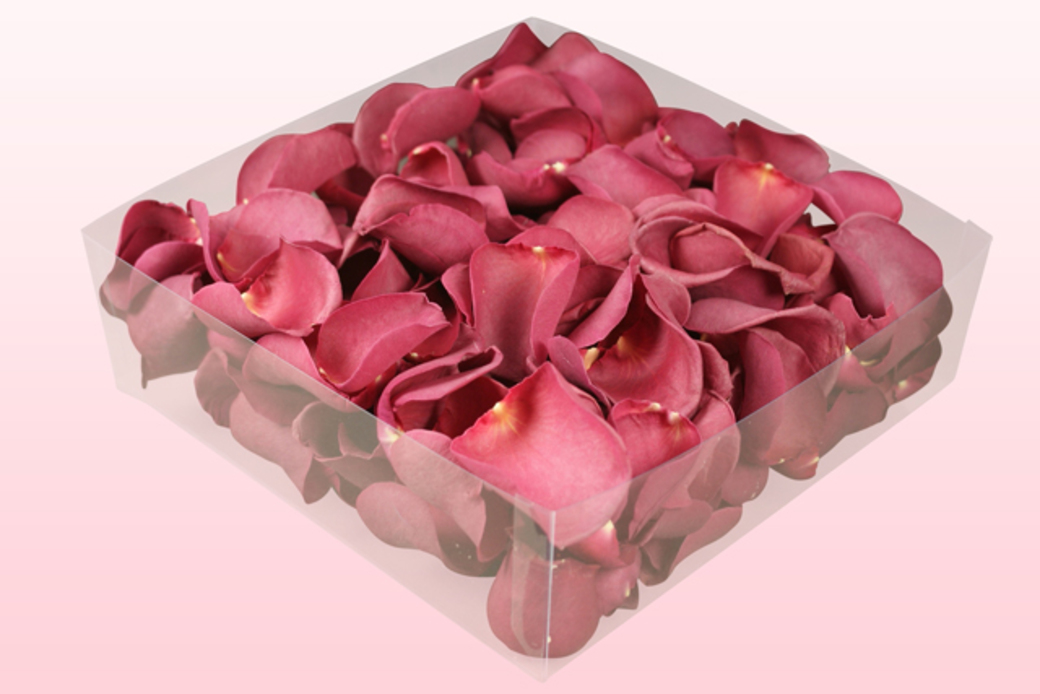 Freeze dried rose petals Mulberry