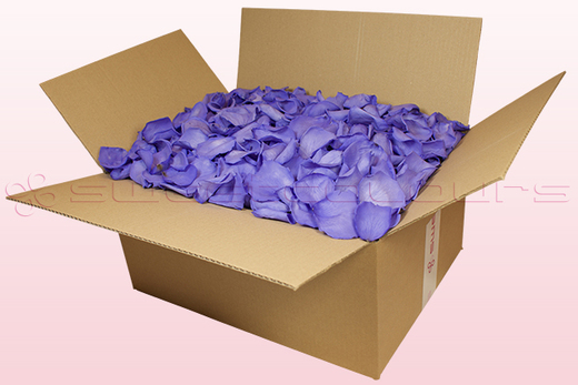 Caja de 24 litros con pétalos de rosa preservados de color lila. 