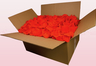 Caja de 24 litros con pétalos de rosa preservados de color naranja. 