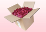 Caja de 8 litros con pétalos de rosa liofilizados de color mora  