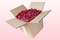 8 Liter Karton mit gefriergetrockneten Rosenblättern in der Farbe Magenta