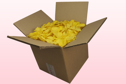8 Litre box With Preserved Yellow Rose Petals