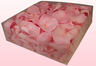 Confezione da 2 litri con petali di rosa stabilizzata di colore rosa chiaro. 