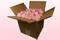 8 Litre box With Preserved Pale Pink Rose Petals