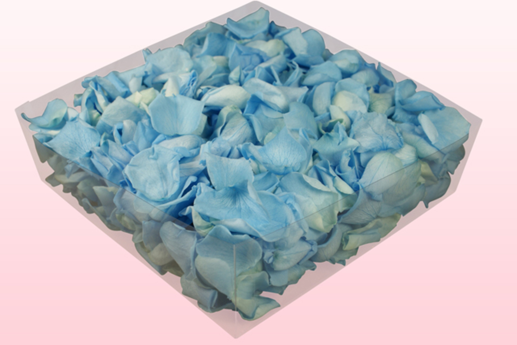 Preserved rose petals Light blue