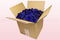Caja de 8 litros con pétalos de rosa preservados de color azul oscuro.  