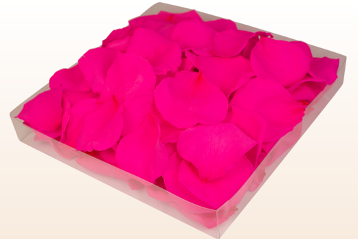 Emballage 1 litre pétales de roses conservés couleur fuchsia