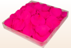 Final check preserved rose petals  hot pink  1 litre box  sweet colours