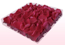 1 liter Karton Konservierte Rosenblätter In Der Farbe Fuchsia