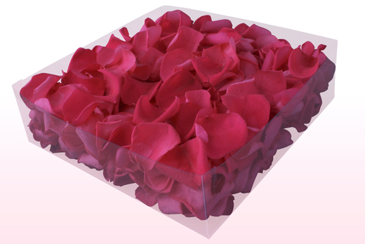Confezione da 2 litri con petali di rosa stabilizzata di colore fuchsia. 