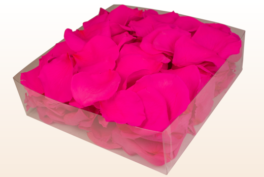 Emballage 2 litres pétales de roses conservés couleur fuchsia