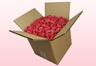 8 Litre box With Preserved Fuchsia Rose Petals