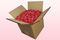 Boîte de 8 litres pétales de roses conservés couleur fuchsia