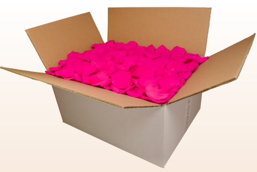 Boîte de 24 litres pétales de roses conservés couleur fuchsia