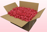 Boîte de 24 litres pétales de roses conservés couleur fuchsia