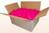 Caja de 24 litros con pétalos de rosa preservados de color fucsia. 