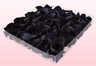 1 Litre Box Of Preserved Black Rose Petals