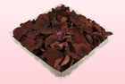 Final check 1 litre box preserved rose petals brown