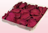 1 Liter Karton Konservierte Rosenblätter In Der Farbe Magenta Dunkel