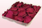 1 Litre Box Of Preserved Cerise Pink Rose Petals
