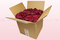 Confezione da 8 litri con petali di rosa stabilizzata di colore cerise. 