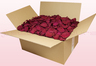 Boîte de 24 litres pétales de roses conservés couleur violet.