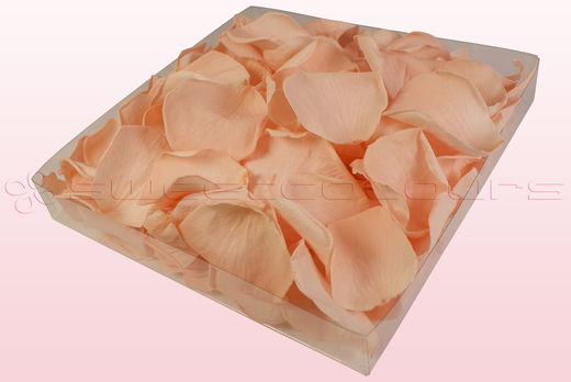 Confezione da 1 litro con petali di rosa stabilizzata di colore salmone. 