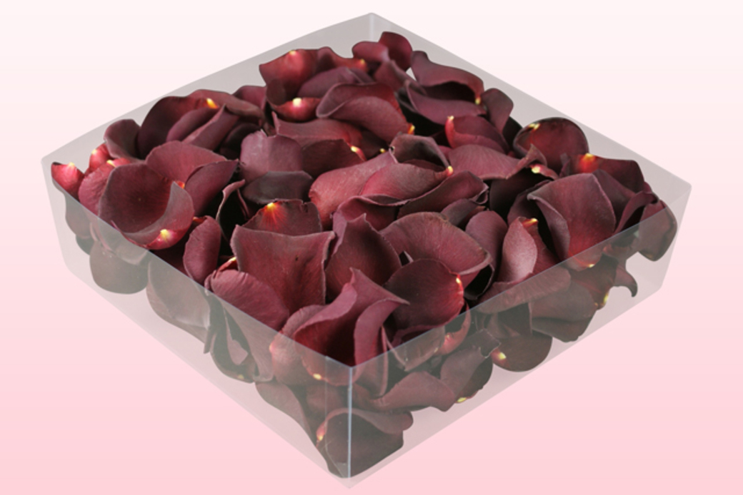 Freeze dried rose petals Burgundy