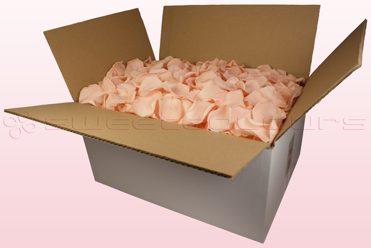 24 Liter Karton Konservierte Lachsfarbige Rosenblätter