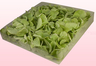 Emballage 1 litre pétales d'hortensias de couleur vert