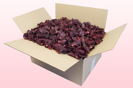Caja de 24 litros con pétalos de rosa liofilizados de color burdeos.  