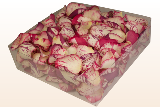 Confezione da 2 litri con petali di rosa liofilizzati di colore rosso rubino. 