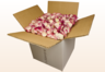 8 Litre Box Ruby Red Freeze Dried Rose Petals